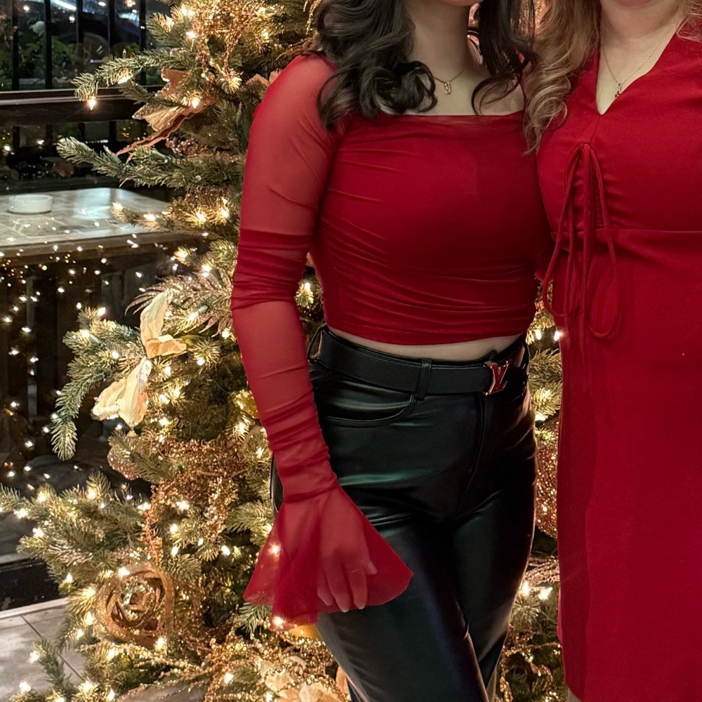 SHEIN Red Mesh Sleeve Top